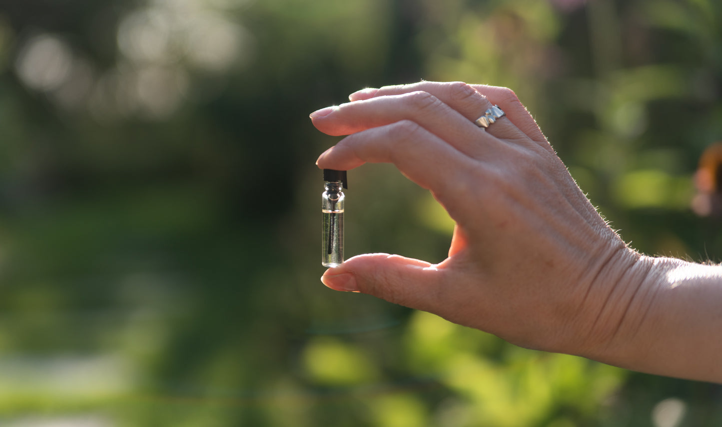 Damasko rožių eterinis aliejus (Rosa damascena) 1 ml
