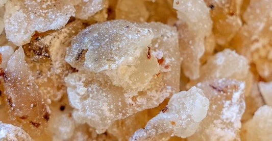 Elemi dervos eterinis aliejus / kvapiųjų kanarių (Canarium luzonicum) 10 ml