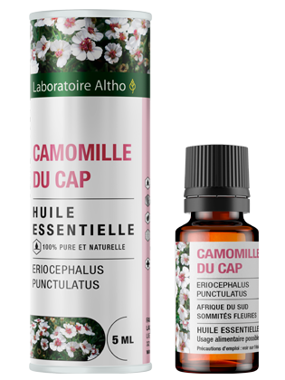 Pietų afrikos ramunėlių eterinis aliejus (Eriocephalus Punctulatus) 5 ml