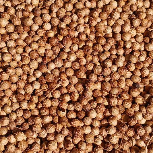 Kalendrų sėklų eterinis aliejus (Coriandrum sativum) 5 ml