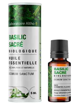 Bazilikų šventųjų eterinis aliejus (Ocimum sanctum) 5 ml