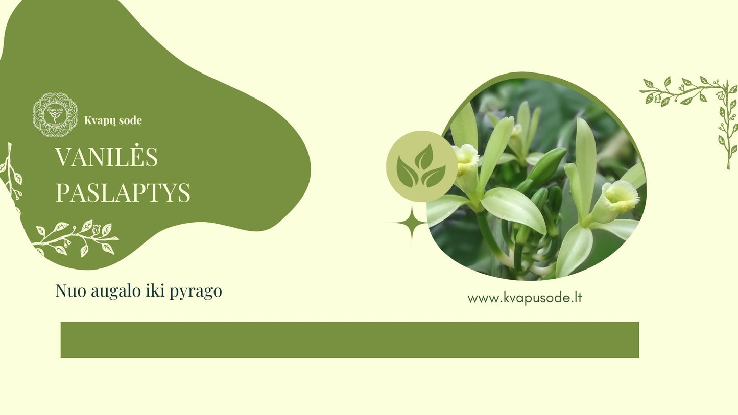 Edukacija/dirbtuvės "Vanilės paslaptys"